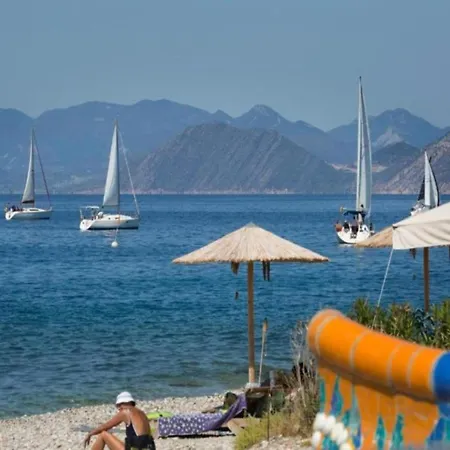 Mare - Mare B *